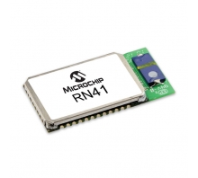 RN41HCI-I/RM bild