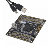 LCMXO3L-6900C-S-EVN bild