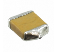 F951A107MTAAQ2 bild