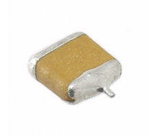 F951A476MTAAQ2 bild