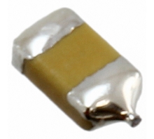 F950G107KQAAQ2 bild
