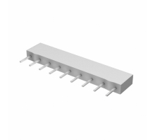 MSP06A01100KGEJ bild