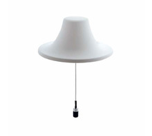CMS38606P-30NF bild