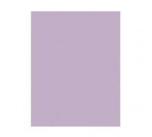 1MIC 3M668X PSA SHEET 9X11